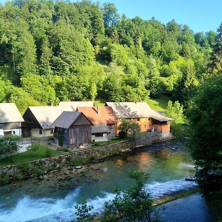 House By The River Villa Zgornje Gorje Exterior photo